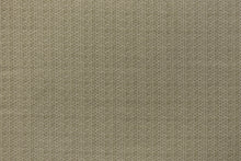 Load image into Gallery viewer, Winnow Fabric - Moss