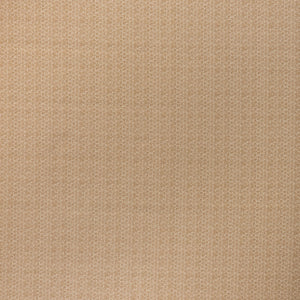Winnow Fabric - Camel